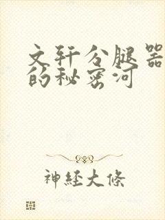 文轩分腿器河马的秘密河