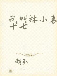 我叫林小喜今年十七
