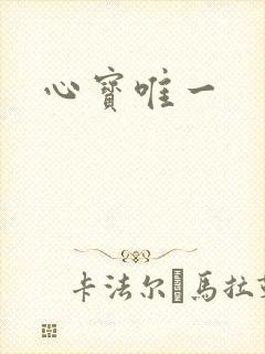 心宝唯一