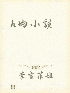 h肉小说