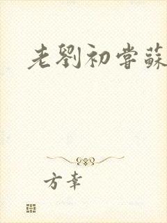 老刘初尝苏荷媳