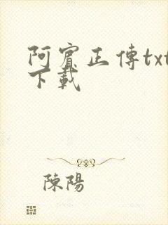 阿宾正传txt下载