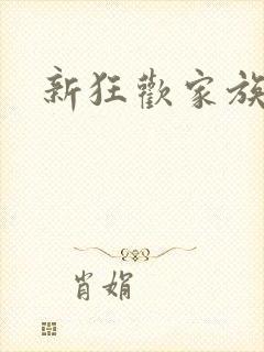 新狂欢家族小说