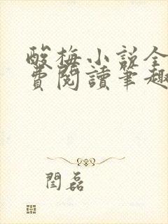 酸梅小说全文免费阅读笔趣阁