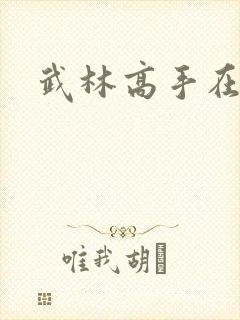 武林高手在异界