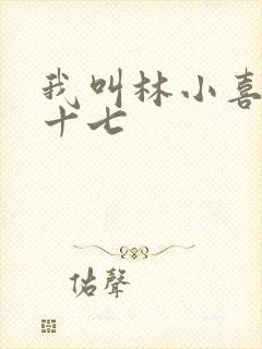 我叫林小喜今年十七