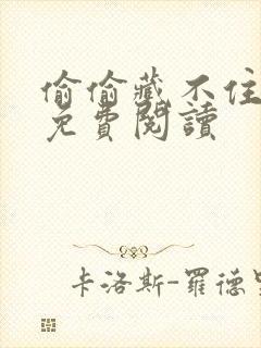 偷偷藏不住小说免费阅读