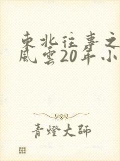 东北往事之黑道风云20年小说