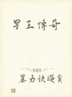 星王传奇