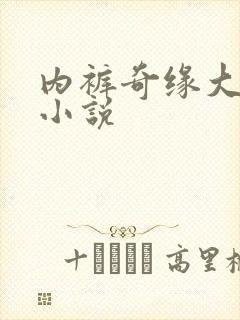 内裤奇缘大团结小说