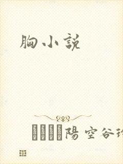 胸小说