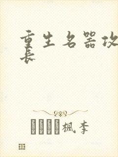 重生名器攻略兄长