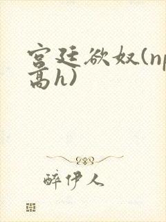 宫廷欲奴(np高h)