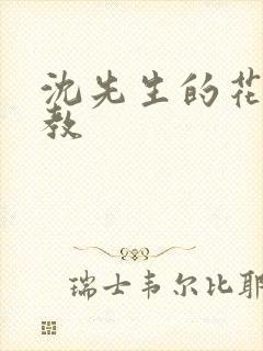 沈先生的花式管教