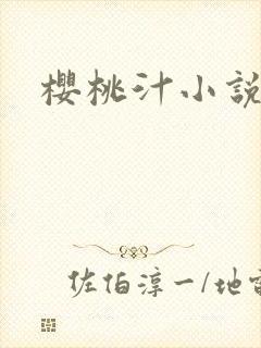 樱桃汁小说