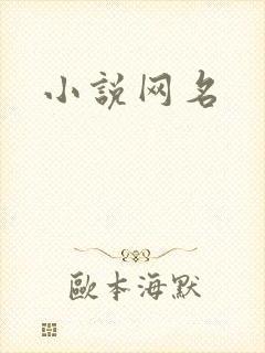 小说网名