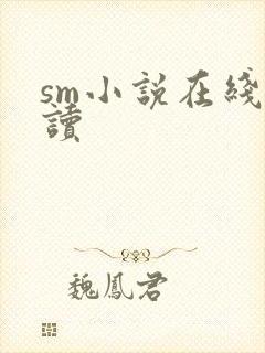 sm小说在线阅读