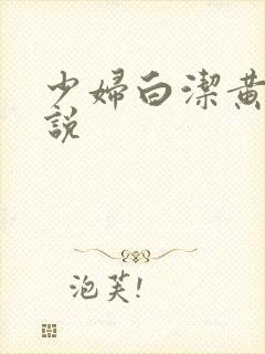 少妇白洁黄色小说