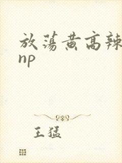 放荡黄高辣h文np