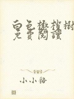 白色橄榄树全文免费阅读