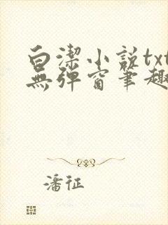 白洁小说txt无弹窗笔趣阁