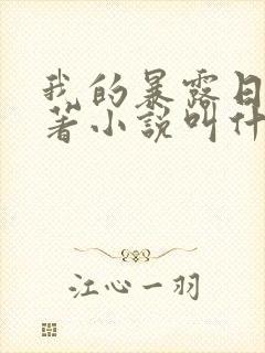 我的暴露日记原著小说叫什么