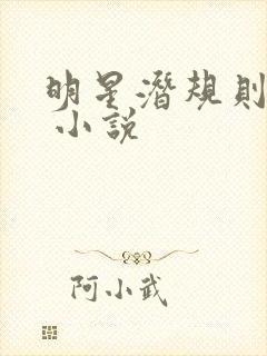 明星潜规则之皇 小说