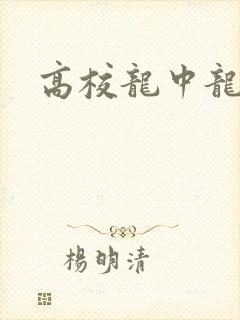 高校龙中龙