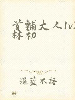 首辅大人1v2林初