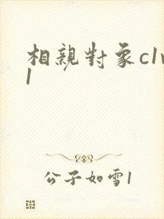 相亲对象c1v1