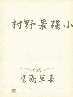 村野最强小农民