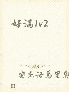 好满1v2