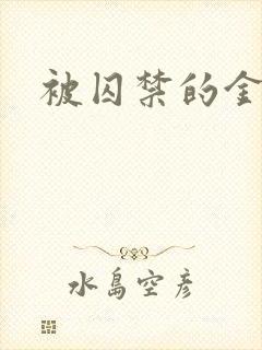 被囚禁的金丝雀