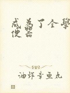 成为了全学校坐便器