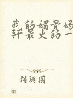 我的媚骨妈妈林轩最火的一句