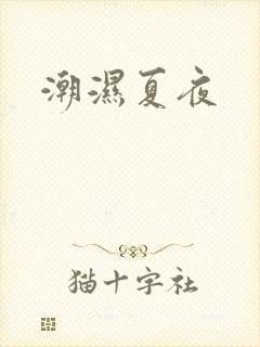 潮湿夏夜