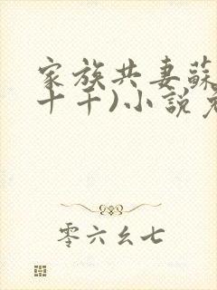 家族共妻苏苏(十千)小说免费