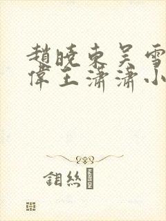 赵晓东吴雪晴郑伟王潇潇小说