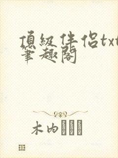 顶级伴侣txt笔趣阁