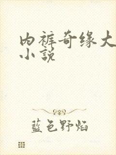 内裤奇缘大团结小说