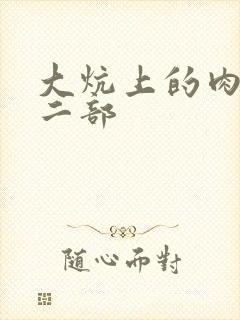 大炕上的肉伦第二部