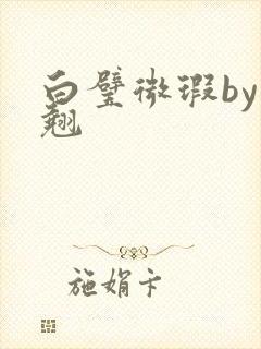 白璧微瑕by连翘