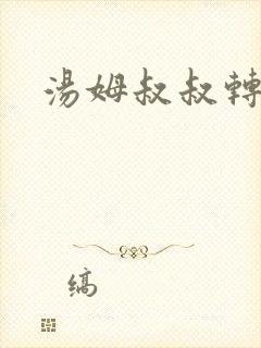 汤姆叔叔转接口