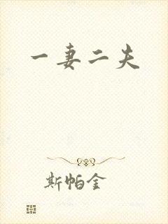 一妻二夫