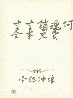 寸寸销魂何生祥全本免费