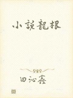 小说龙根