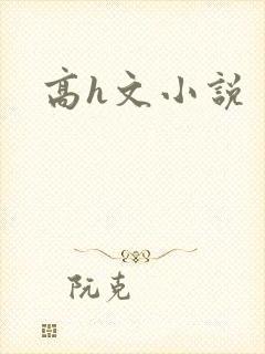 高h文小说