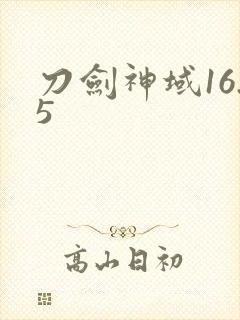 刀剑神域16.5