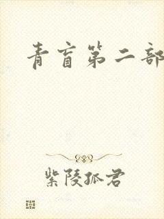青盲第二部