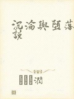 沉沦与堕落的小说